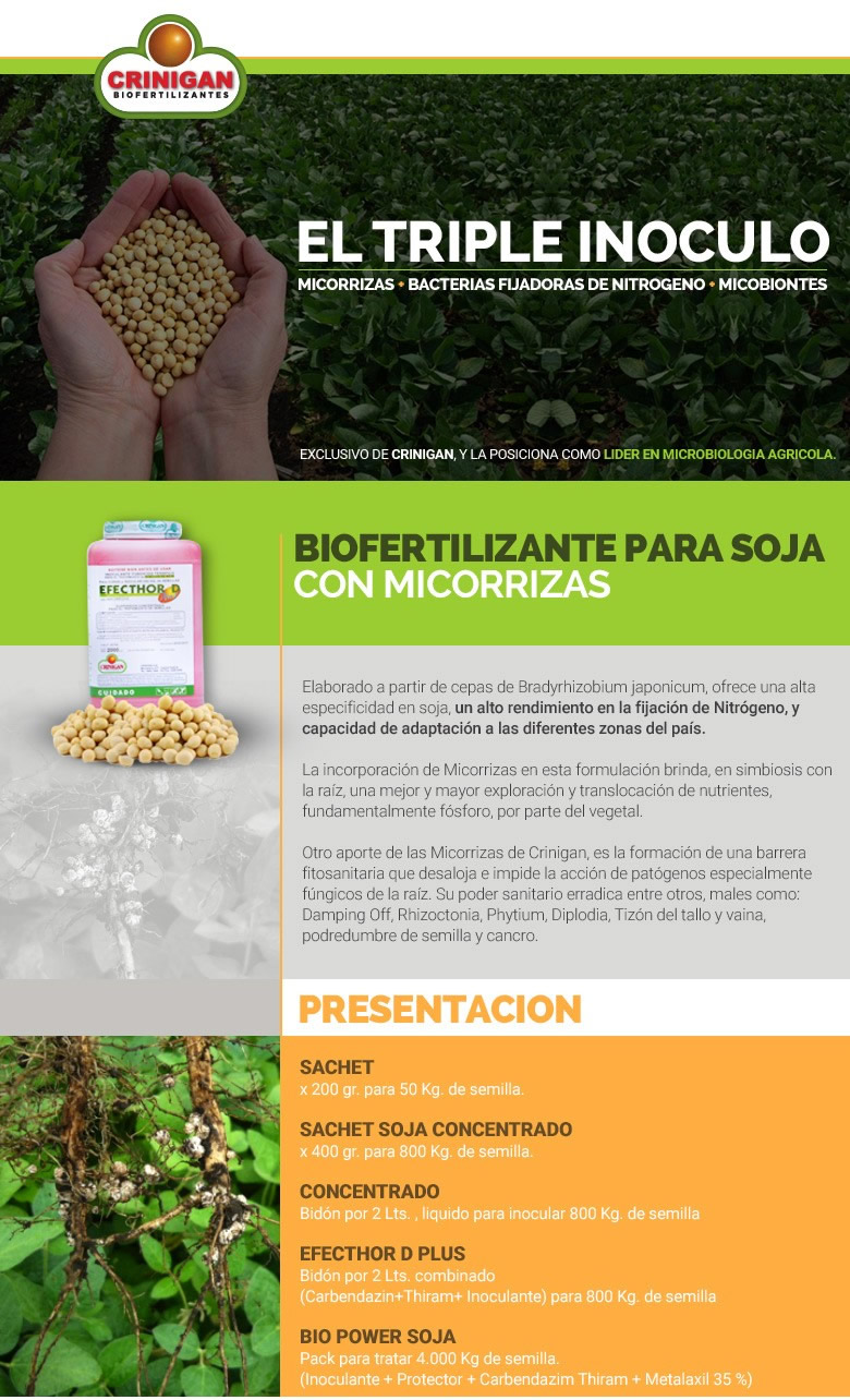 info