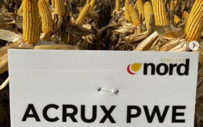 Excelentes rindes de ACRUX PWE en Sur de Santa Fe y Centro de Córdoba.